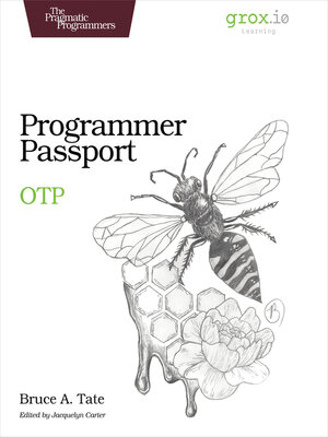 cover image of Programmer Passport